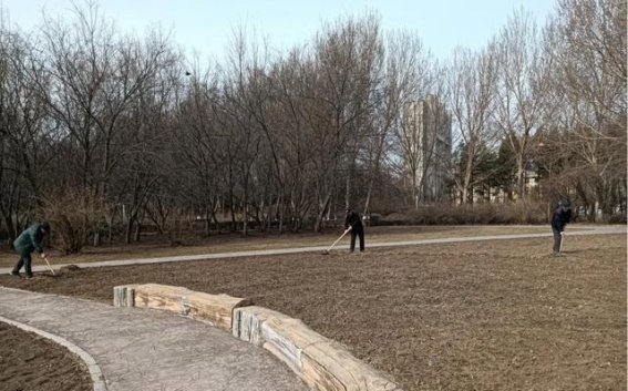 长春公园油菜花盛开，春夏交替展现花海魅力