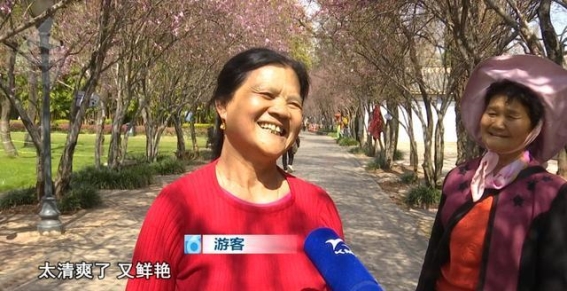 西华园海棠花开，春意正浓