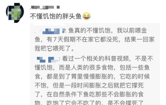 善意的误解：趵突泉鲤鱼死亡事件的反思