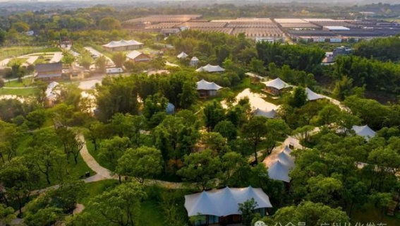 从化首届萌宠嘉年华延期通知与活动更新