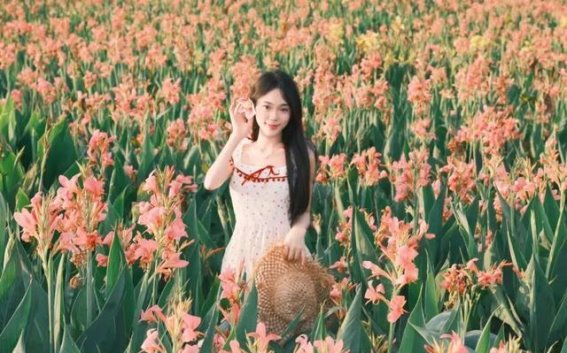 崇左麦那湖美人蕉花海，初夏的绝美盛宴