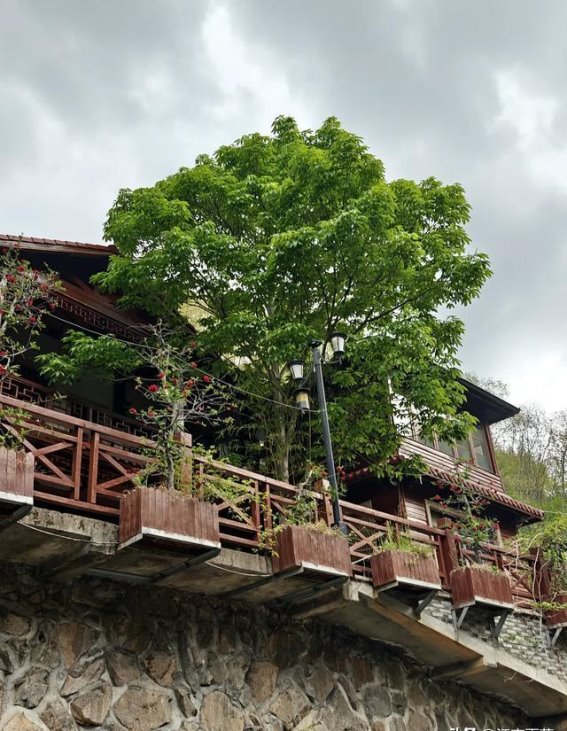 山间时光：在宁静与自然中找回自我