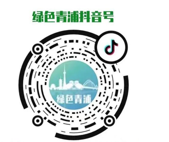 蜀道考古新发现：揭开古道背后的文化遗产