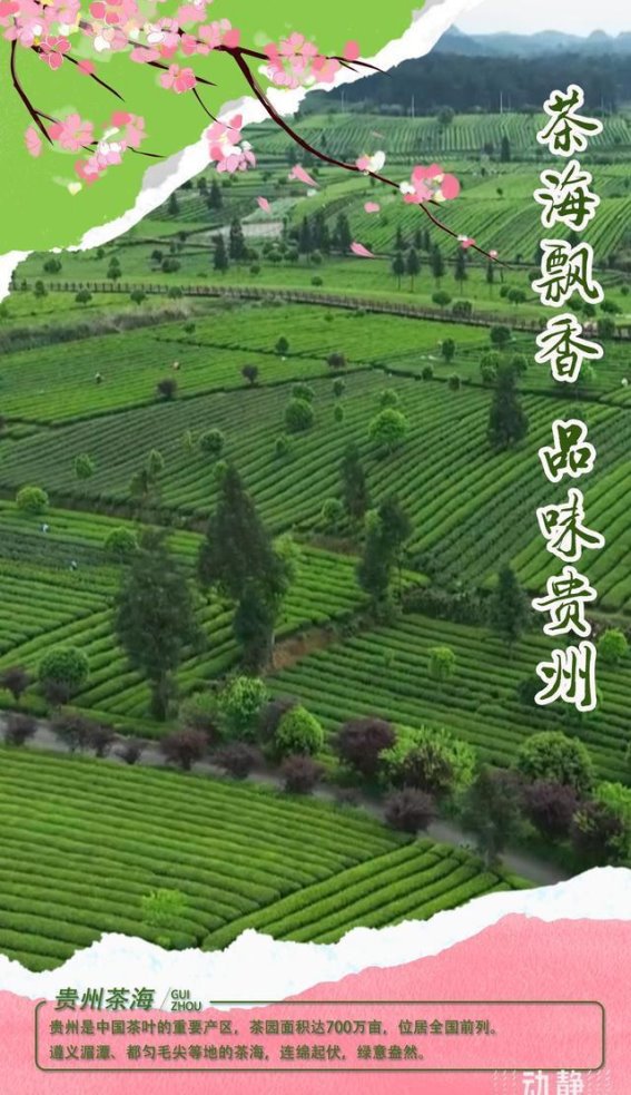 春游贵州，三月来感受这片“海”的魅力