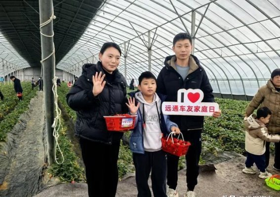 远通车友自驾采摘日：与自然同行，共享健康时光