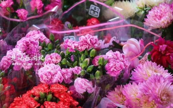 绍兴伽蓝殿与塔山公园：探索宁静中的自然与文化