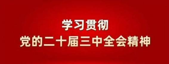 推进中医药现代化的路径与挑战
