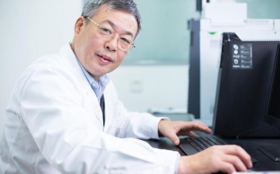 平衡血糖与甜食：健康生活的新理念