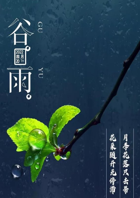 谷雨：传承与创新的生长密码