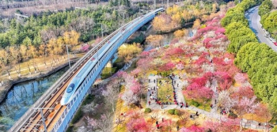 春光乍泄，蜀山繁花绽放