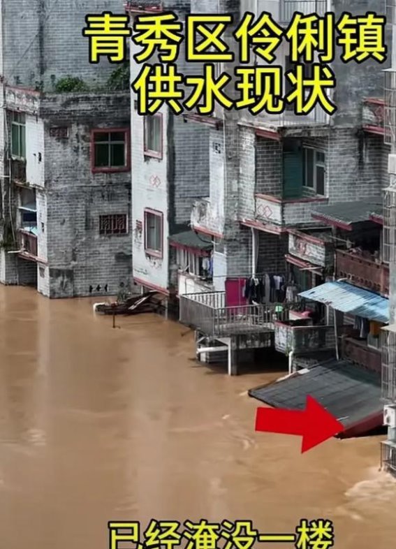 洪水中的大鹅奇遇与人性的光辉