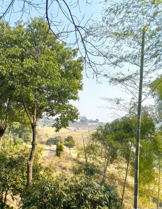 河畔餐馆的悠然聚会