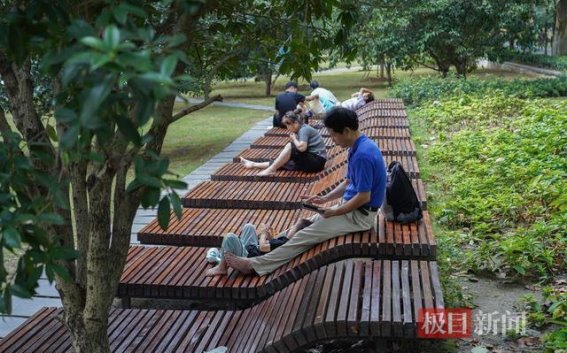 武汉东湖景区躺椅走红，展现城市的舒适与温暖