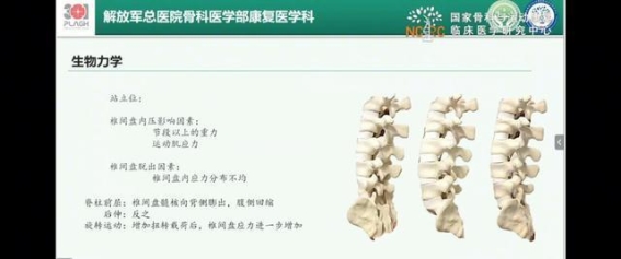 腰椎力学与康复技术：专家解析脊柱健康之道