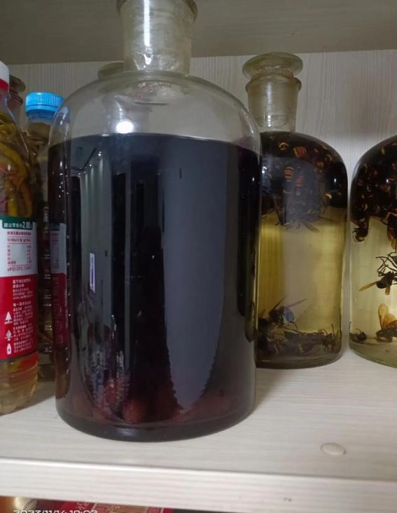 警惕！这三类中药绝对不能泡酒！一杯自制药酒竟致15人中毒