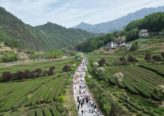 岚皋武林盛会开启文旅新篇章，南宫问道引领多维融合之路