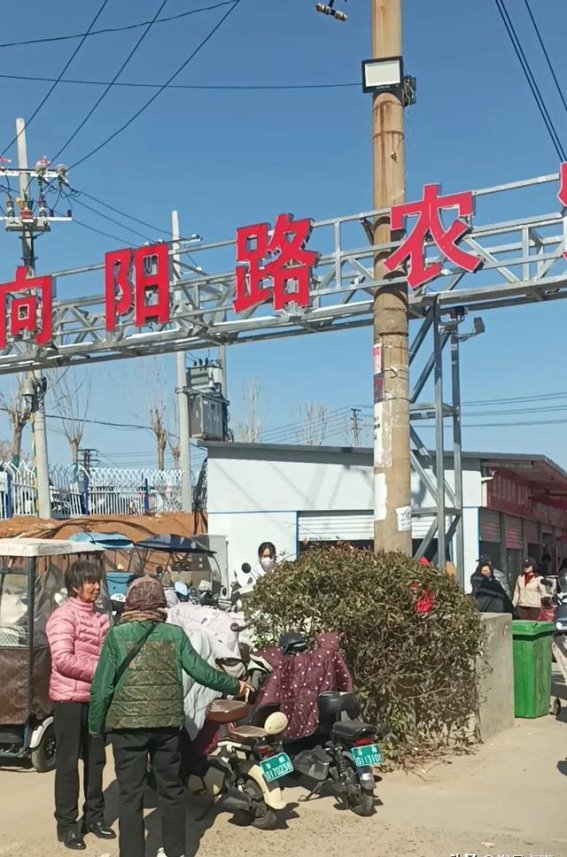 洛阳新市集的热闹与温情