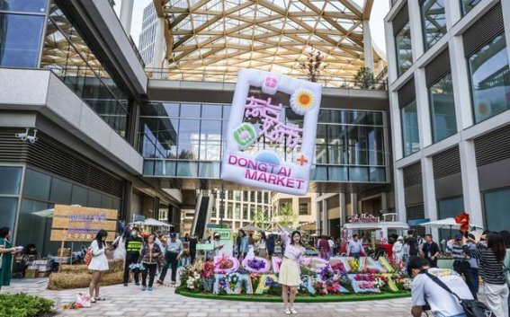 春日花展中的生态启示：上海国际花展带来的人与自然共生思考