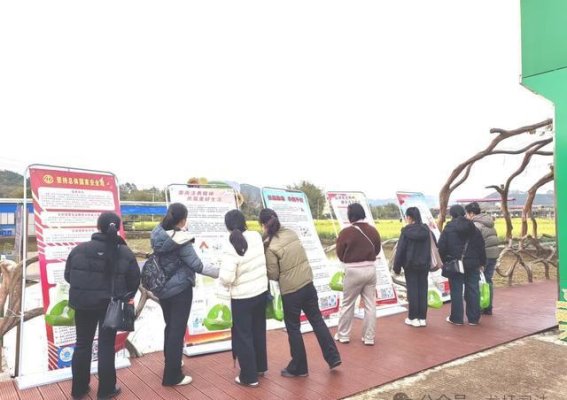 文旅与法治携手同行——龙圩区司法局创新开展“文旅+普法”宣传活动