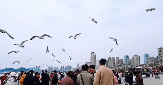 大海的旋律：星海广场的心灵之歌