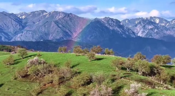 被中国西北的春天拿捏！伊犁5个私藏花海坐标最后一个美到犯规！