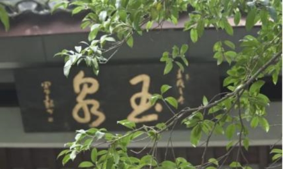 杭州植物园春节赏梅攻略，带你领略梅花与蜡梅的绝美风采