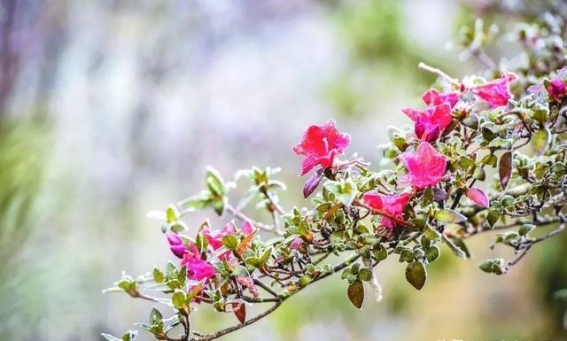 百色冬日的色彩与景致，温暖如梦