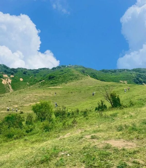 蓝田：时光沉淀的隐秘桃源