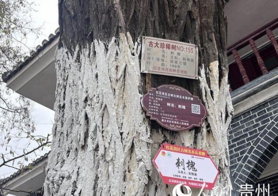 红色底蕴照亮贵州前行的道路