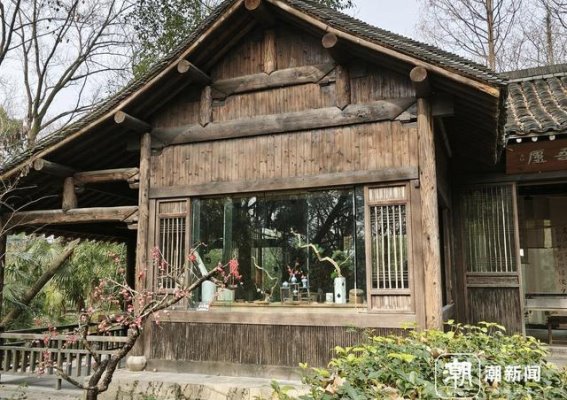 西溪湿地梅花盛放，踏春寻梅正当时