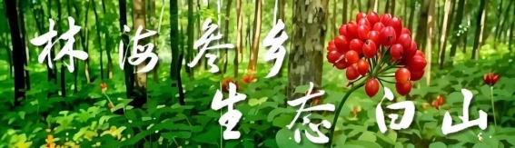 冬季肠胃健康如何守护？常见疾病与预防对策