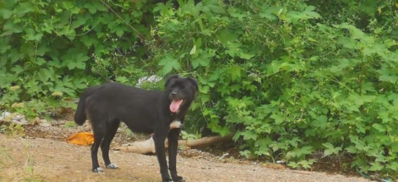 一场意外的旅行：与妻子一起探寻山野的乐趣