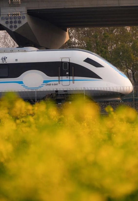 浙江：从省份到“大城市”的演变