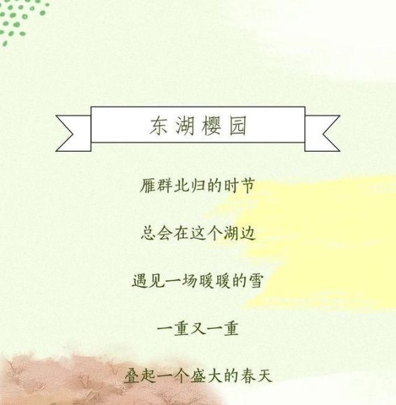 樱花之约：中国春日的浪漫邂逅