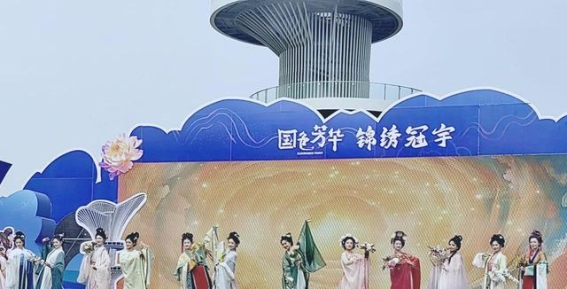 菏泽芍药花朝节：春日花海与文化创新的完美融合