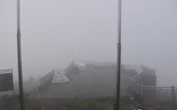 花开盛世迎宾朋，盛会牡丹映古都——2025菏泽国际牡丹文化旅游节盛大启幕