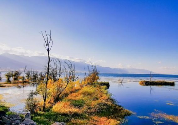 洱海骑行：遇见心灵的自由与诗意