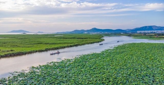 八月，来一场与东平湖的美丽邂逅