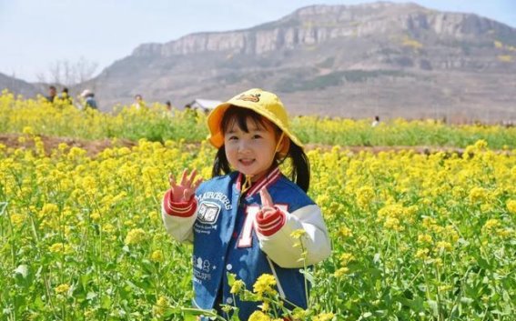 春日长清赏花之旅：感受繁花似锦的浪漫时光