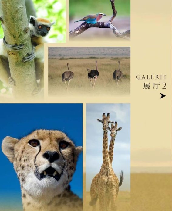 国庆假期畅游广州文化公园，感受多元文化盛宴