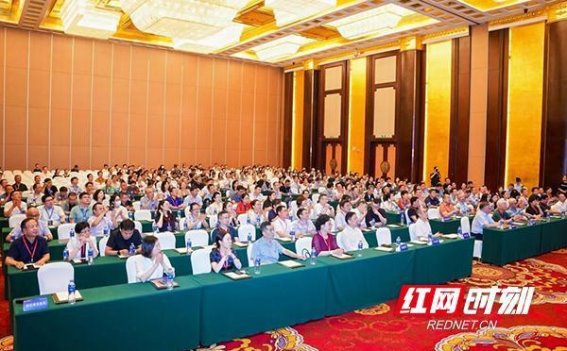 损容性皮肤病中西医结合治疗的最新进展