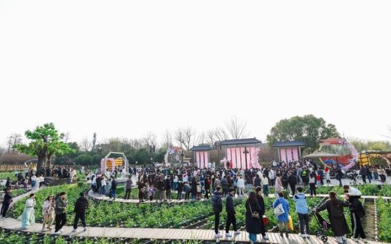 春归宋韵，重返西溪——《今夕共西溪》复演精彩重磅回归
