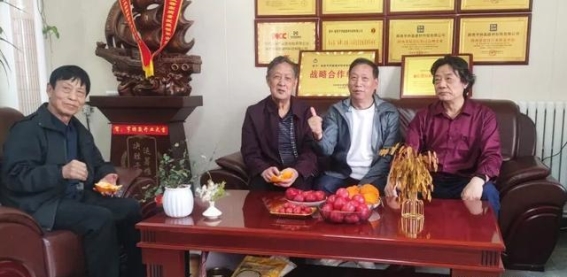 四月苟家村的艺术春风