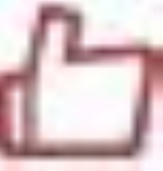 春意盎然，畅游月季花海——上海三泉公园趣逛活动纪实