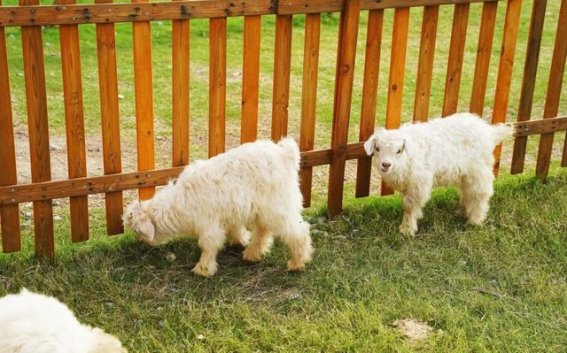 蟠龙天地的秋日奇幻之旅