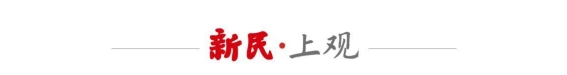 春光乍现，梅花与樱花齐绽放——申城迎春之美
