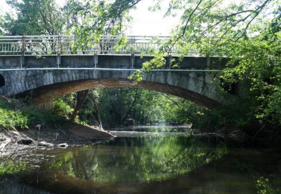 合肥巢湖清水塘村：一片天然的“绿野仙踪”
