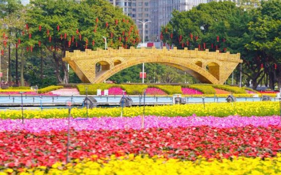 广州的花海与年味交织，焕新春日