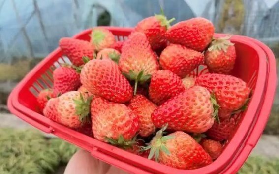 天气渐暖，糖尿病患者应警惕！这四个错误，不能随便做