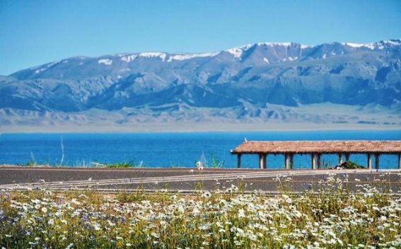 驶入梦幻湖畔，一场环绕赛里木湖的自驾童话